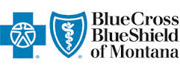 BlueCross BlueShield Payment Link