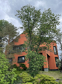 a house with trees in the background