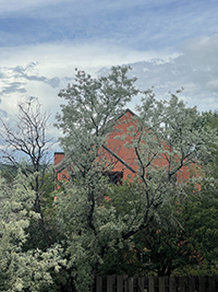 a house with trees in the background