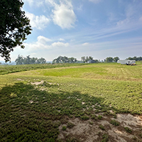 a close up of a lush green field