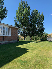 a large lawn in front of a house