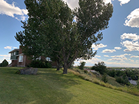 a large lawn in front of a house