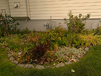 a large lawn in front of a house