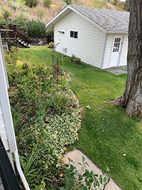 a large lawn in front of a house